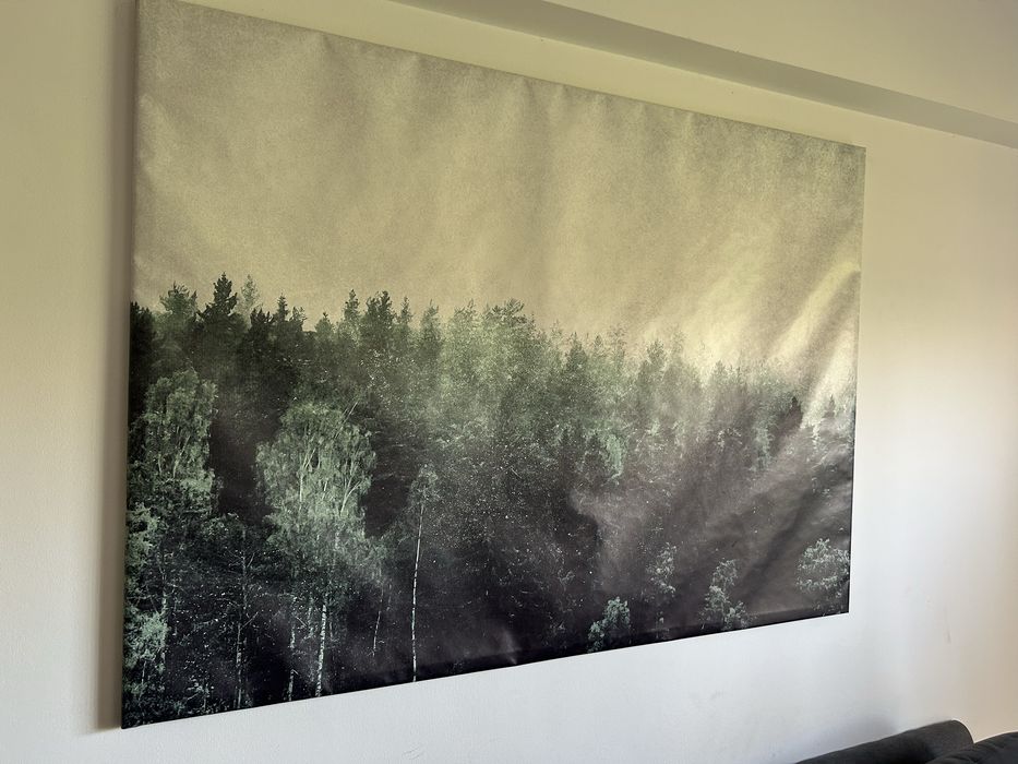 Agora 5€ Quadro de decoração Ikea