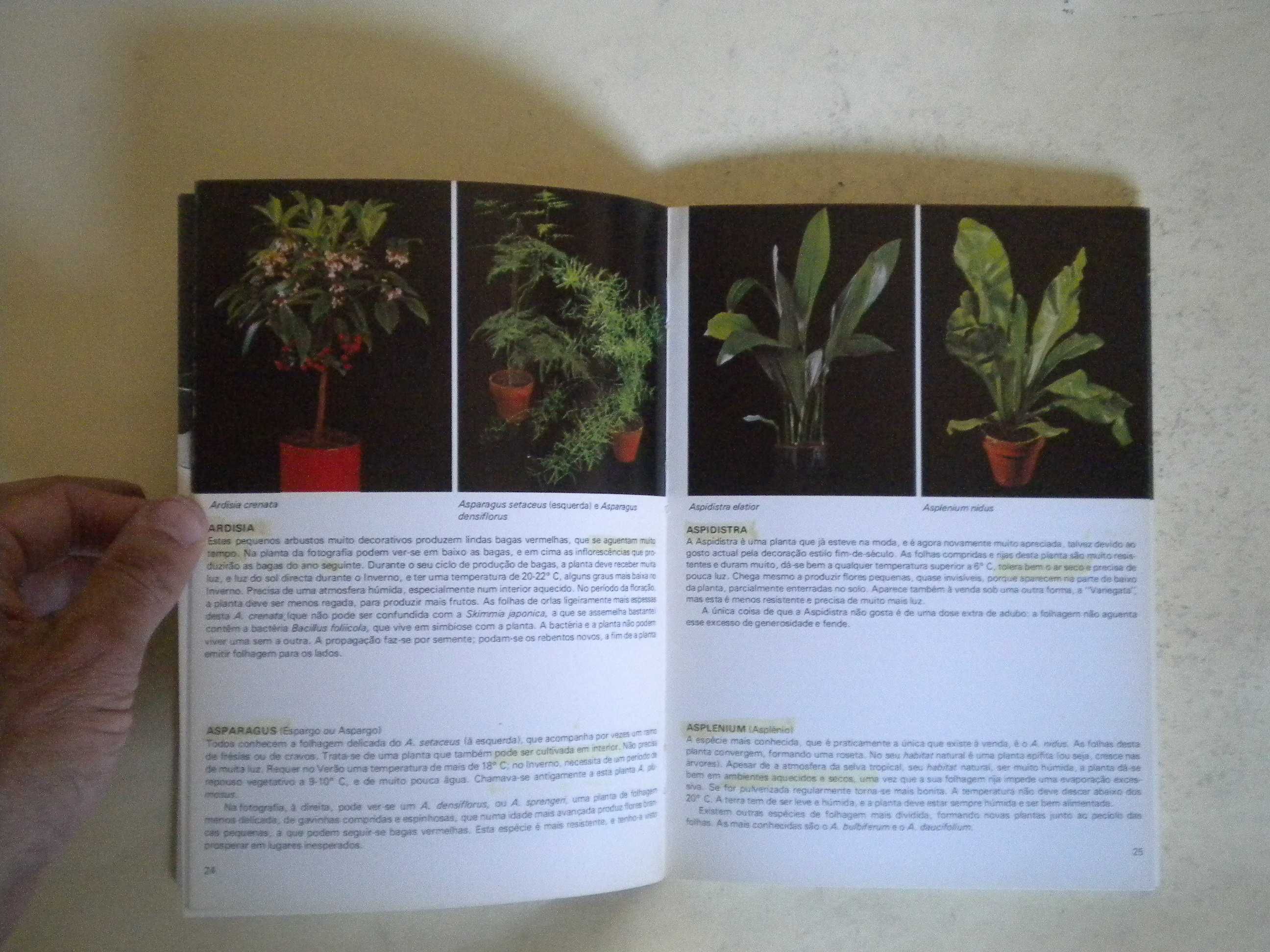 Plantas de Interior
de Rob Herwing