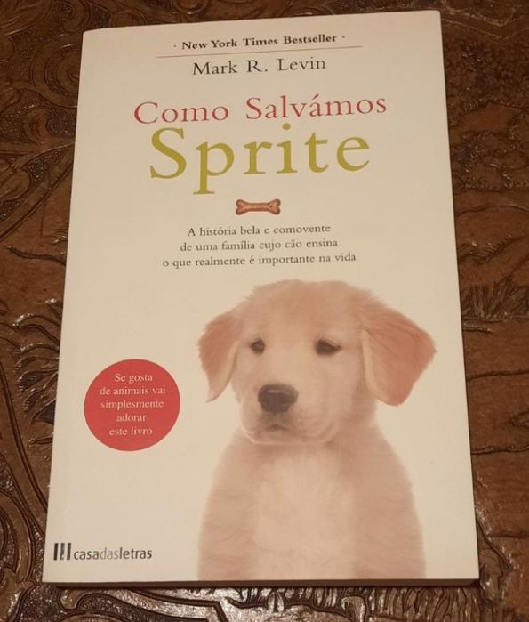 Como Salvamos Sprite