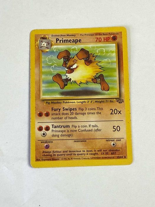 Cartas Originais Pokémon TCG - Edição Jungle