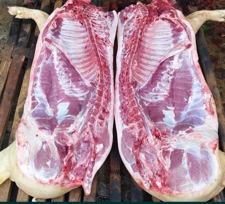 Продам м'ясо свинини