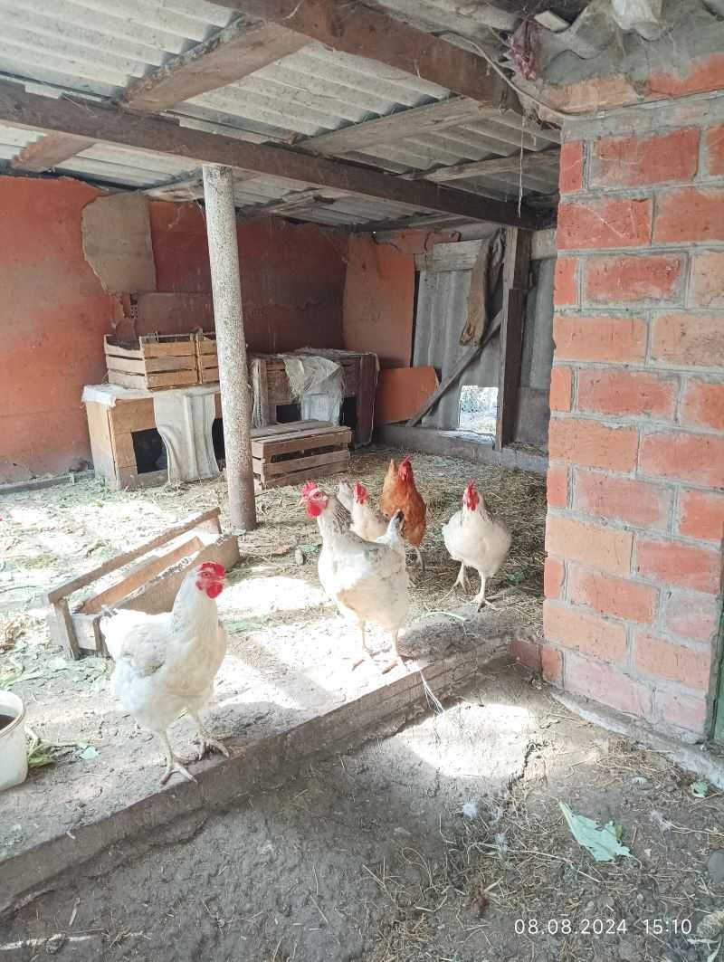 Продам.. двухэтажный кирпичный дом в Мерефе.