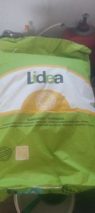 Насіння соняшнику ЕС Розалія