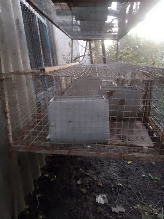 Клітка кроляча 3000