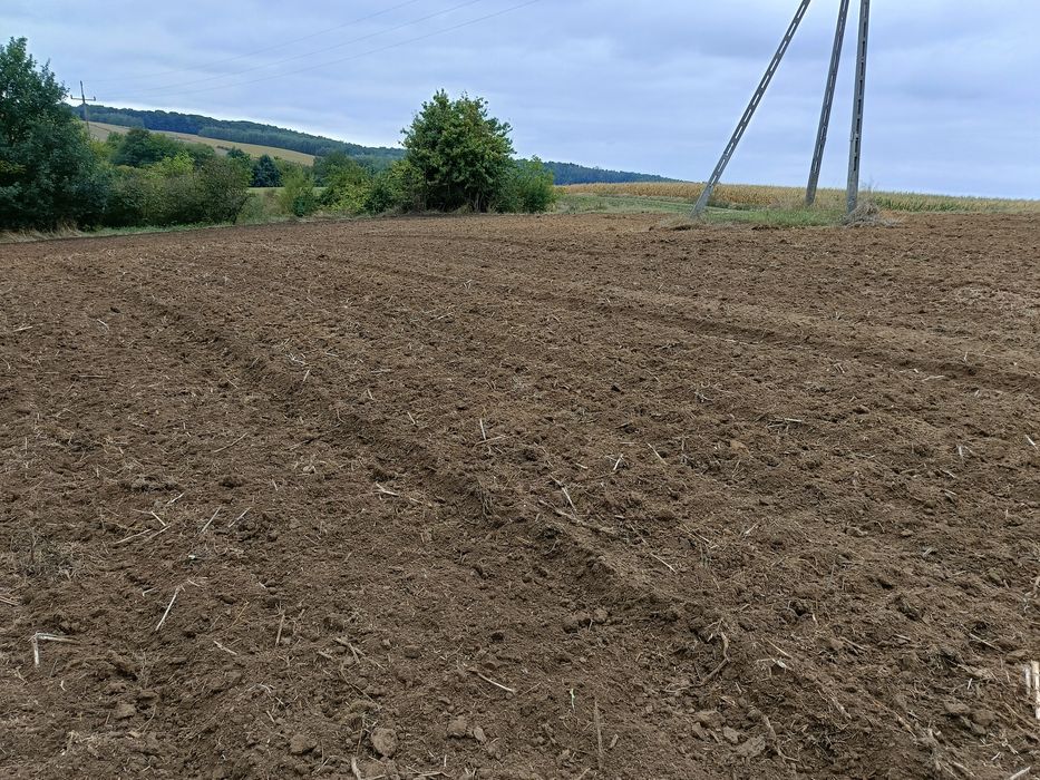 Kultywator, ścierniskowiec Amazone BBG