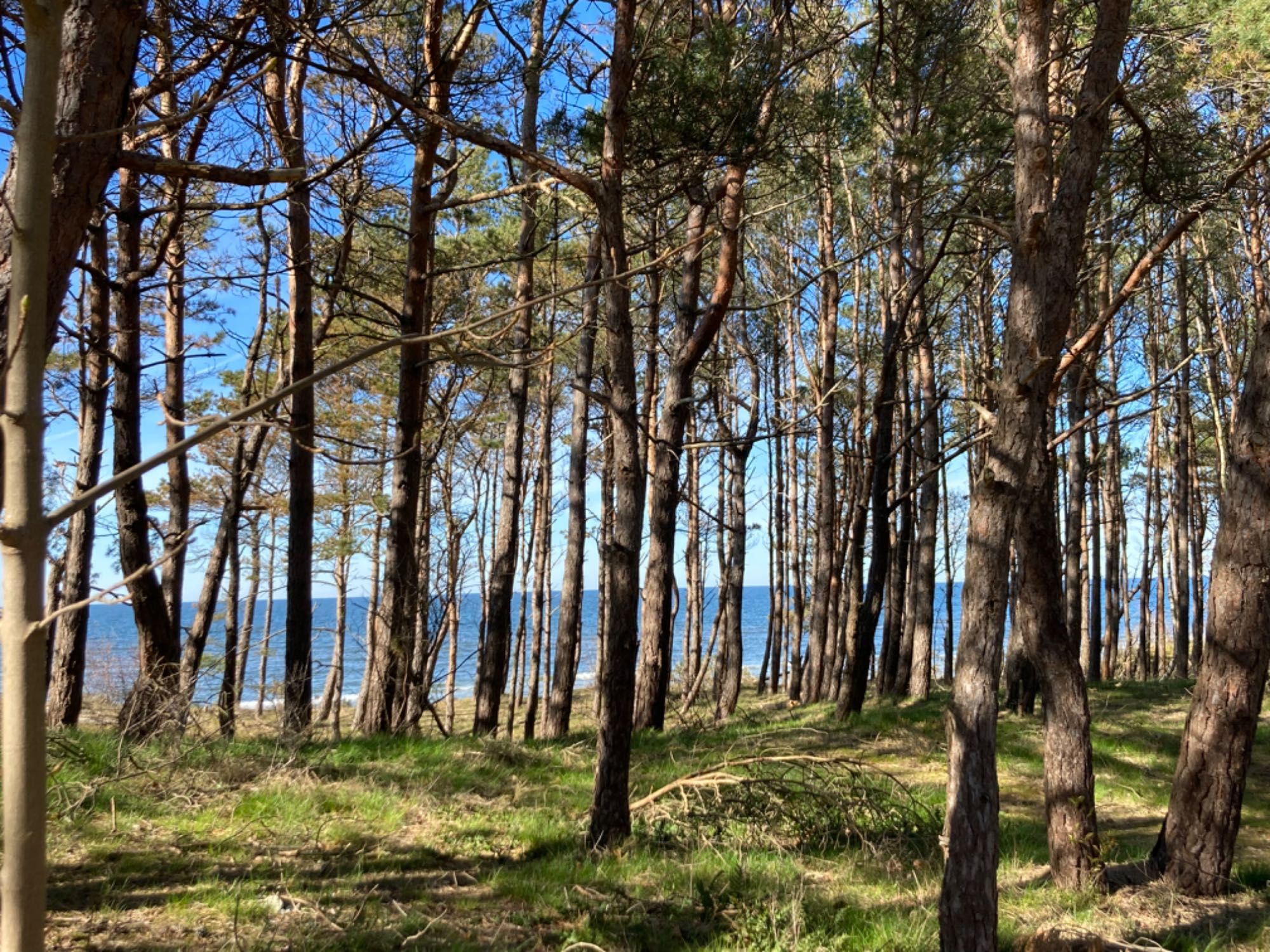 Nocleg Z Wyżywieniem W SPA Nad  Morzem Blisko  Plaży