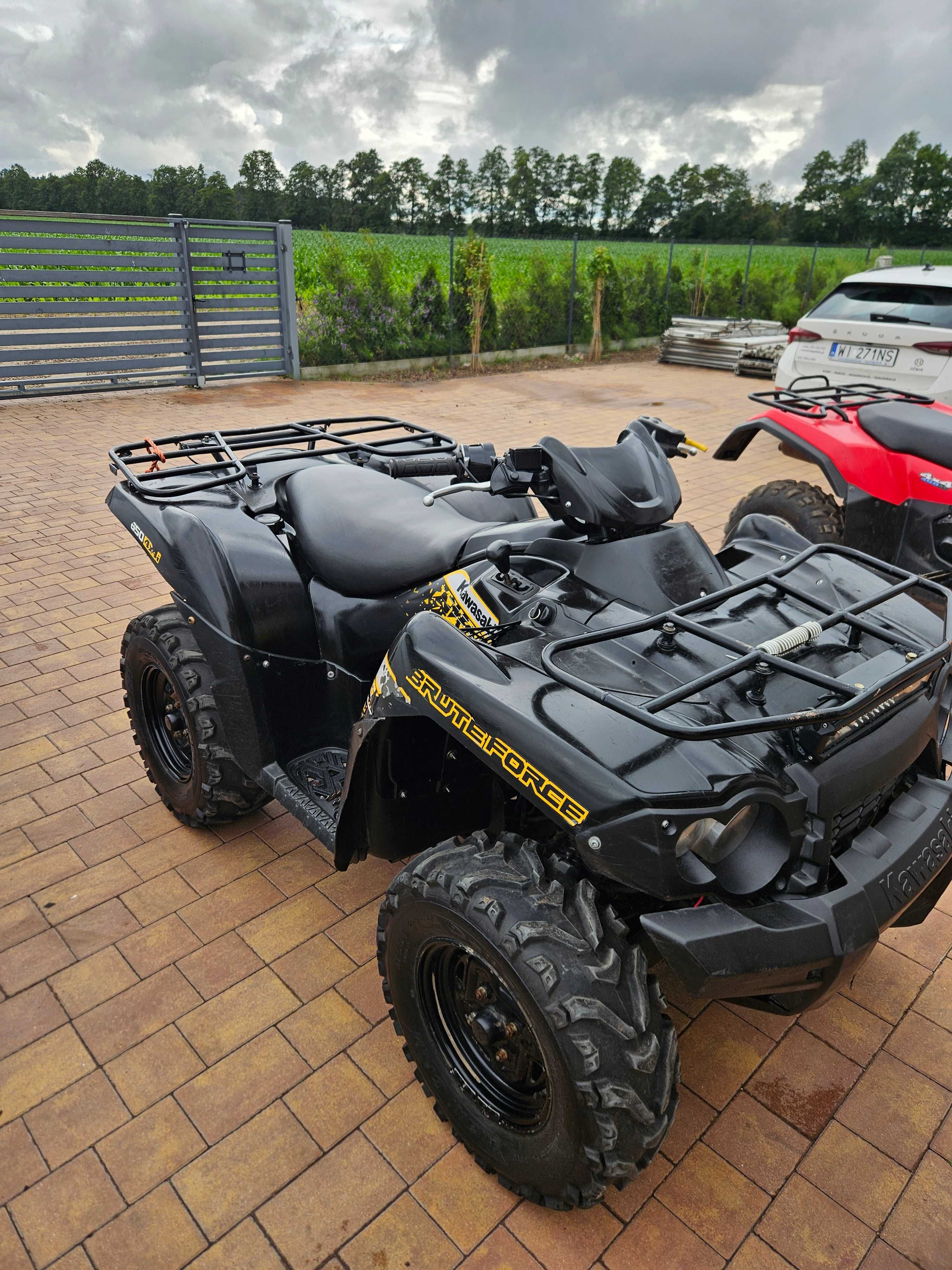 Quad Brute Force 650i