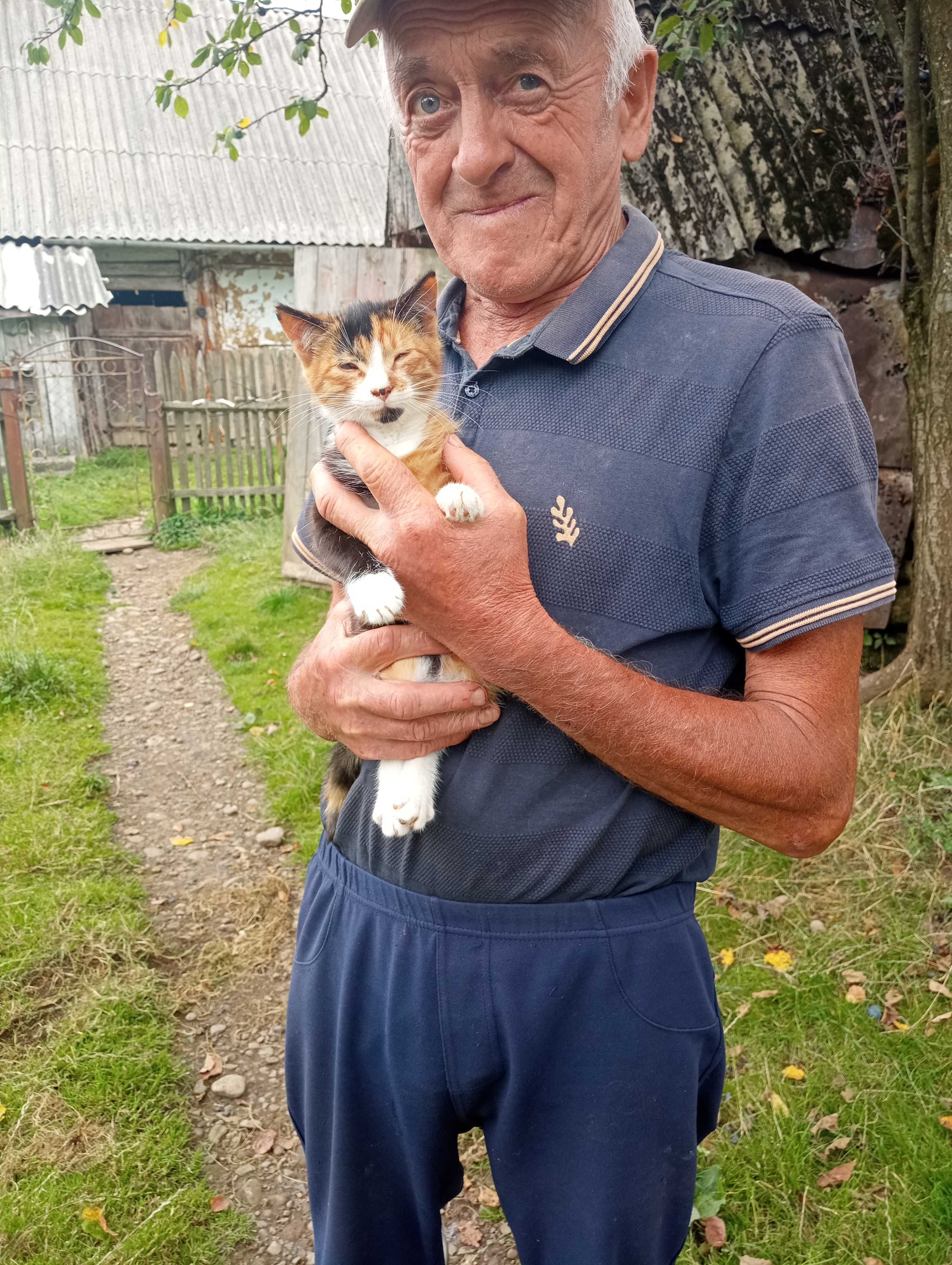 Віддам кошенят в добрі руки.