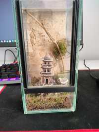 terrarium ręcznie robione