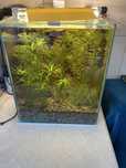 Akwarium,krewetkarium 30 litrow