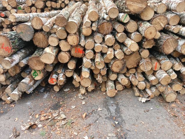 Drewno kominkowe w wałkach 2.5m tanio