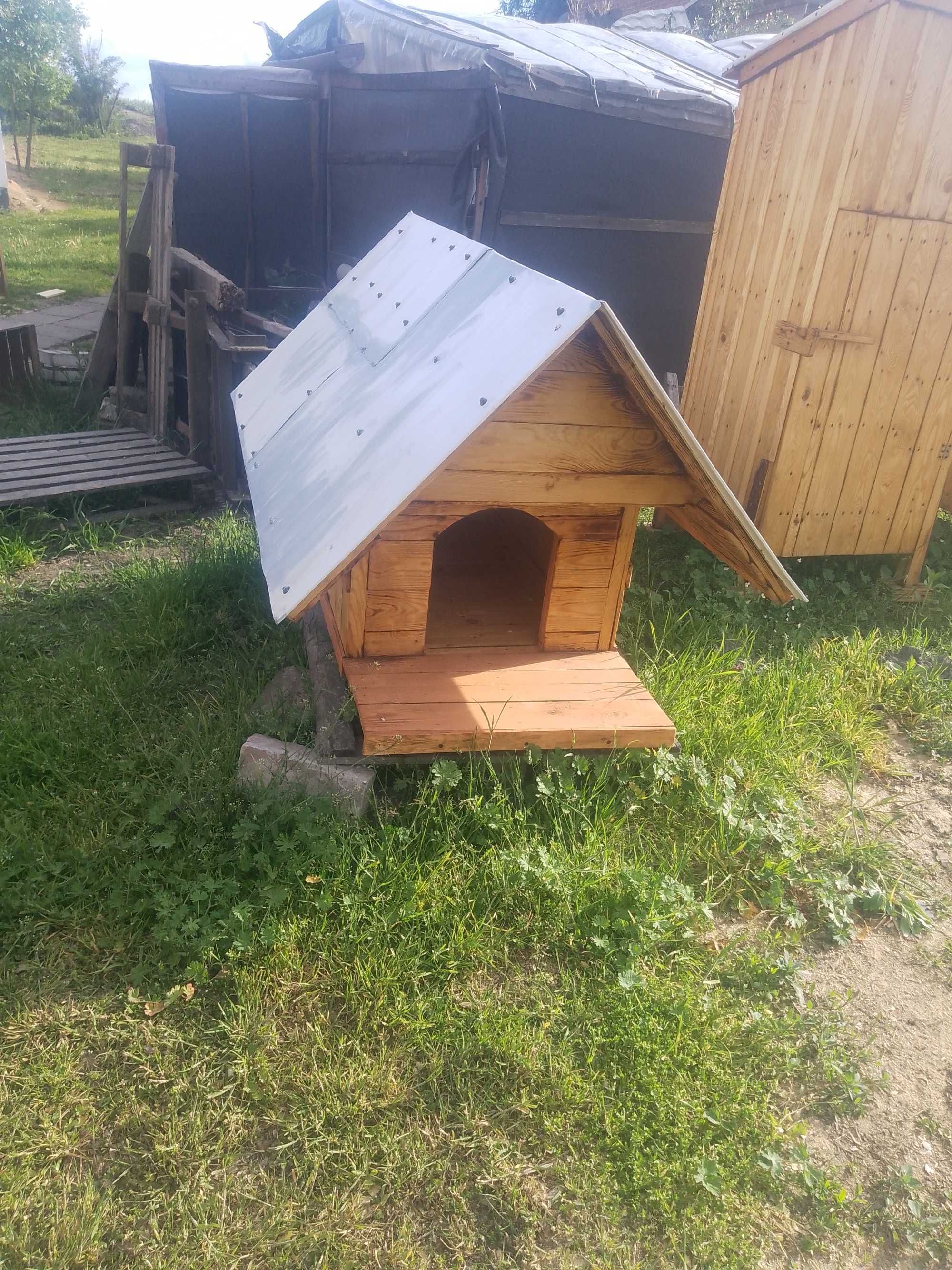 Buda dla psa , budy dla psów