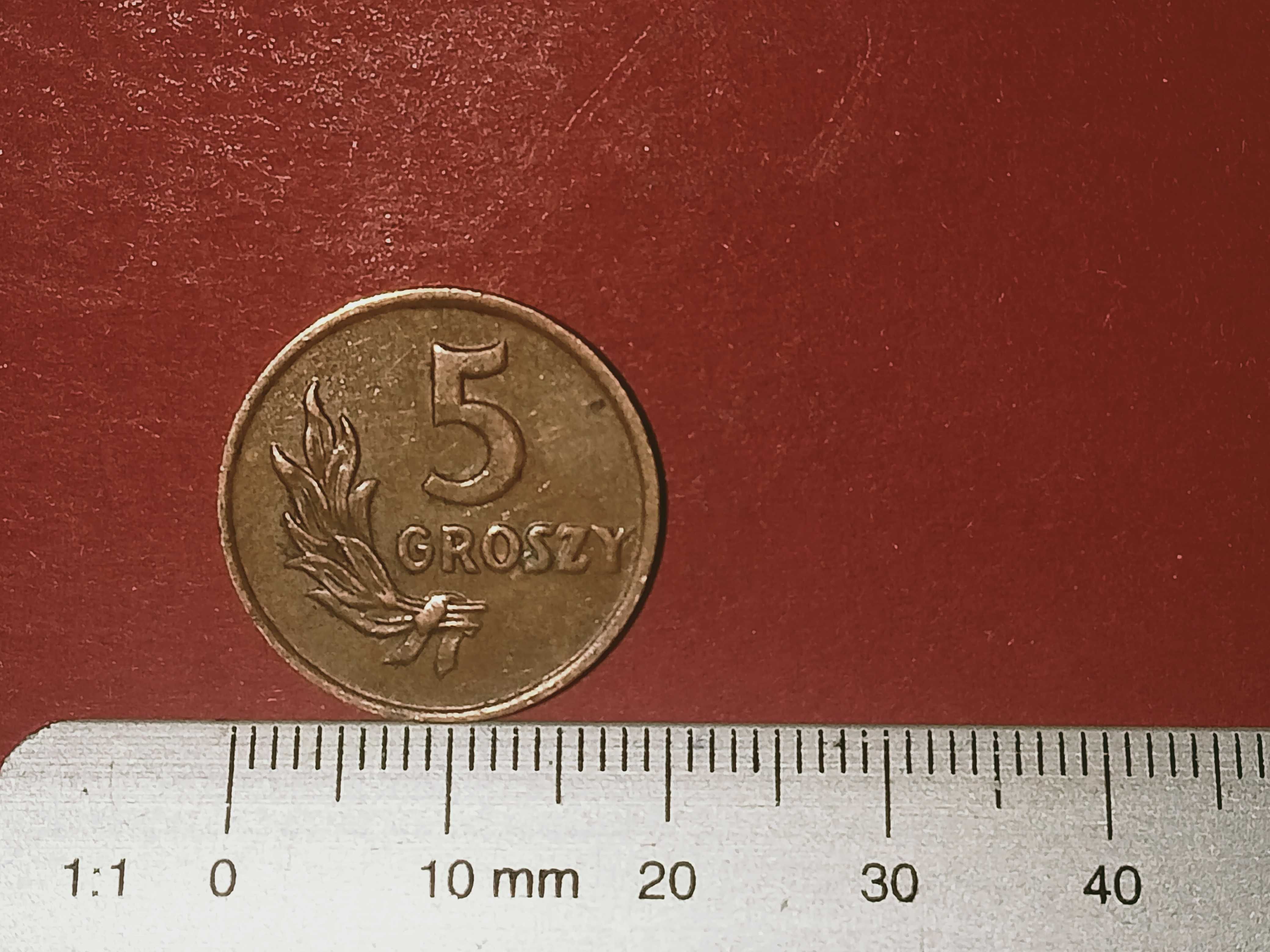 1949 Polska RP moneta 5 groszy, brąz