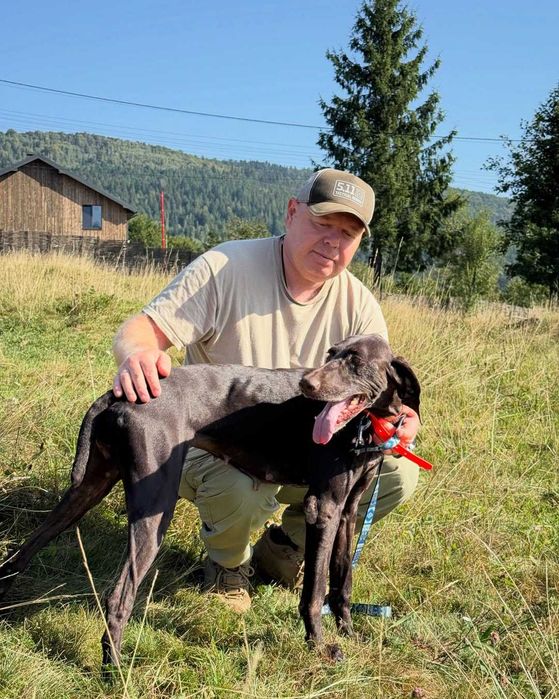 Ора, курцхаар, шукає дім