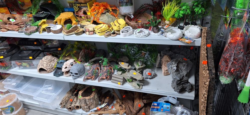 Akwarium aquaterrarium 80cm dla żółwia wodno lądowego.