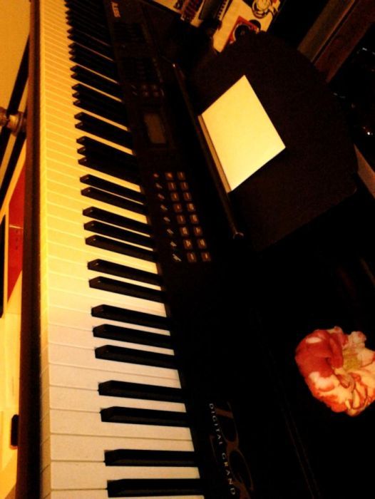 Piano profissional Alesis