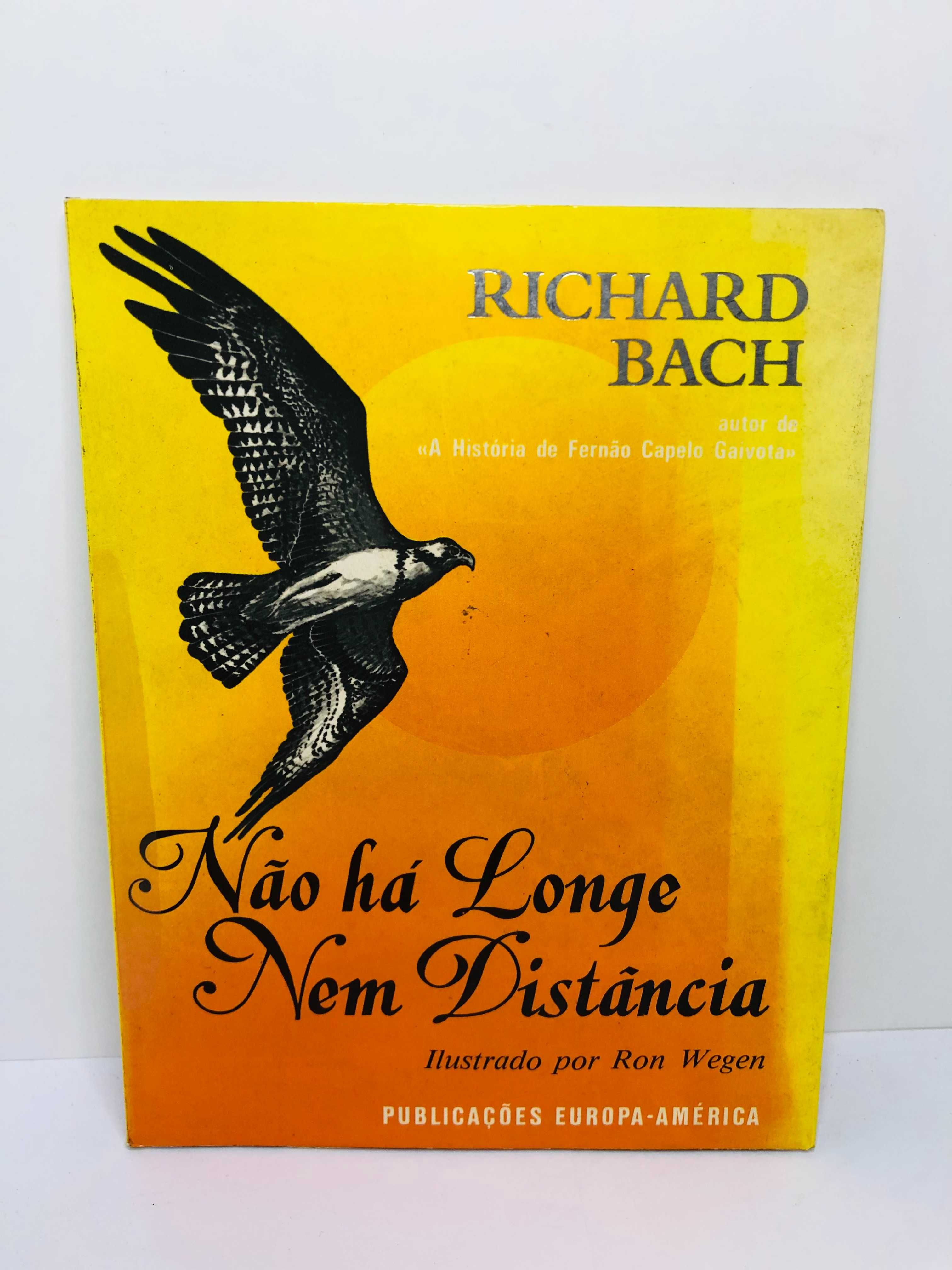 Não Há Longe Nem Distância - Richard Bach