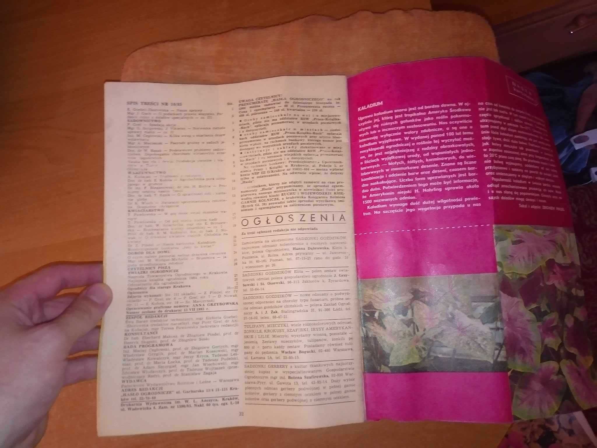 Hasło ogrodnicze miesięcznik 10 1985 ogrodniczy gazeta czasopismo