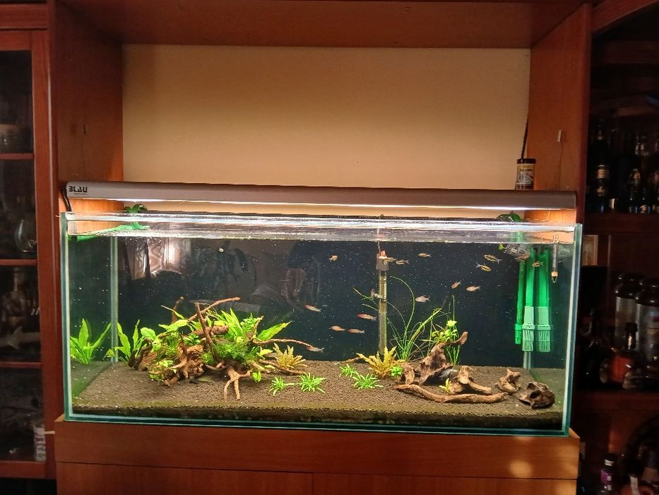 Aquário completo