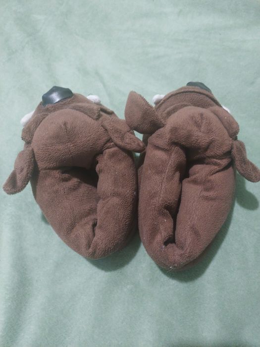 Кімнатні тапочки, капці тапулі