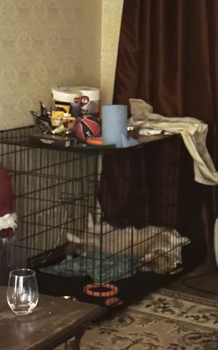 Вальер/клітка для тварин 120*80*80