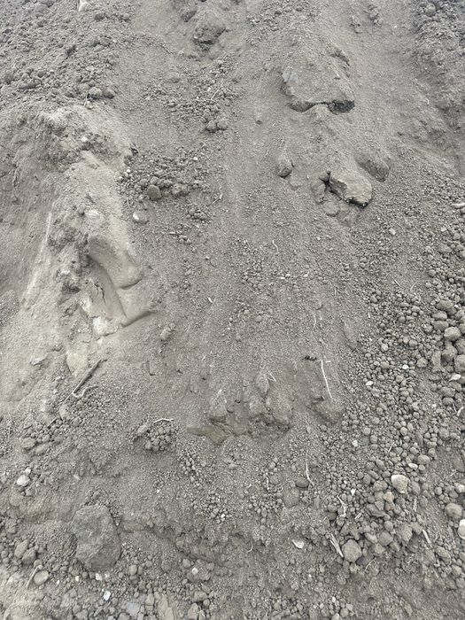 Ziemia ogrodowa humus piasek płukany pospółka żwir kamień transport!