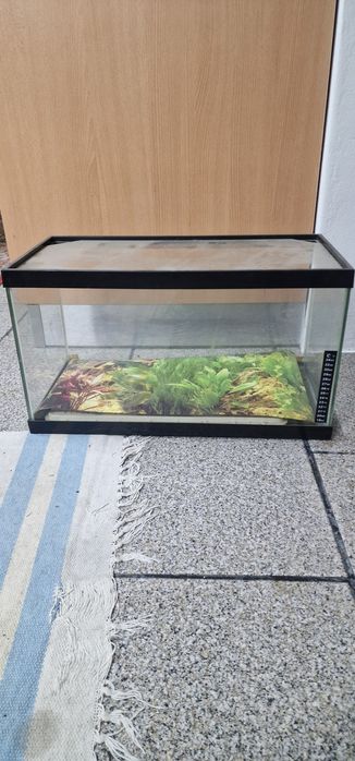 Aquário semi novo