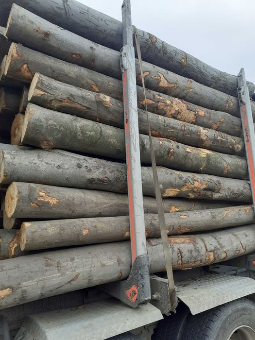 Drewno opalowe BUK Brzoza Grab Jesion Akacja.