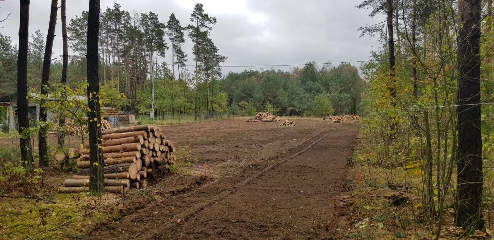 MULCZOWANIE Karczowanie Wycinka drzew Mulczer Leśny Czyszczenie PILAR