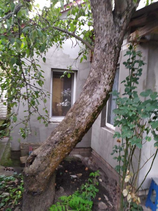 Частина цегляного будинку в затишному районі міста