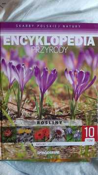 Encyklopedia przyrody