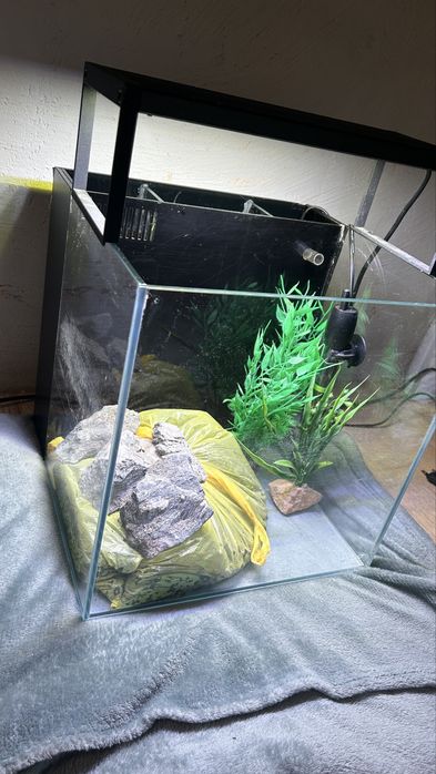 PILENE sprzecam akwariwum