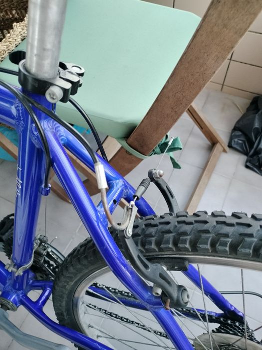 Bicicleta adulto