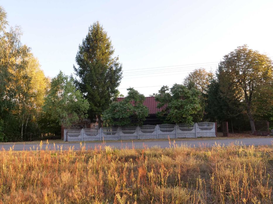 Wiejski dom na skraju wsi