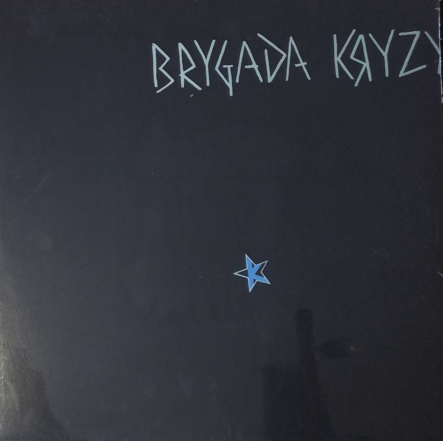Brygada Kryzys - Brygada Kryzys Winyl