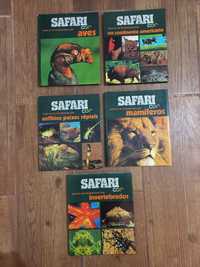 Coleção Safari Cor
