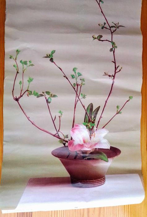 упаковка поделок детям прозрачная, коробка подарочная, пакет, стружка