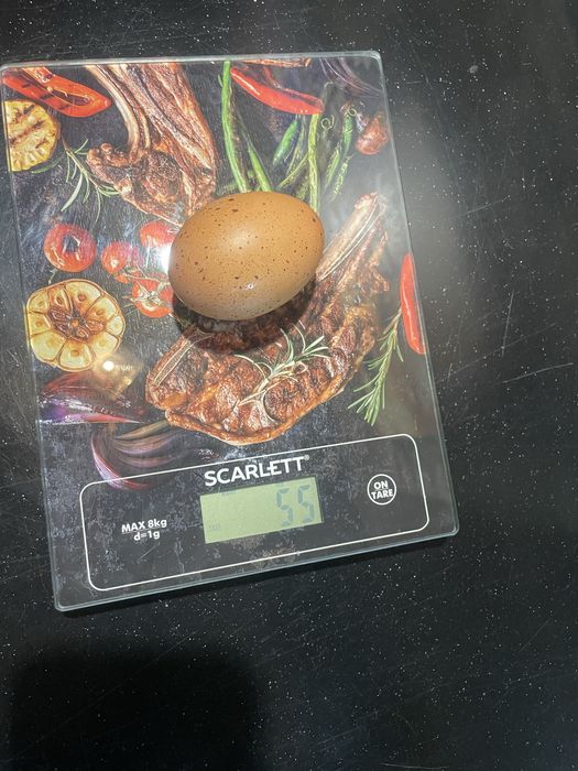 Домашнее куриное яйцо