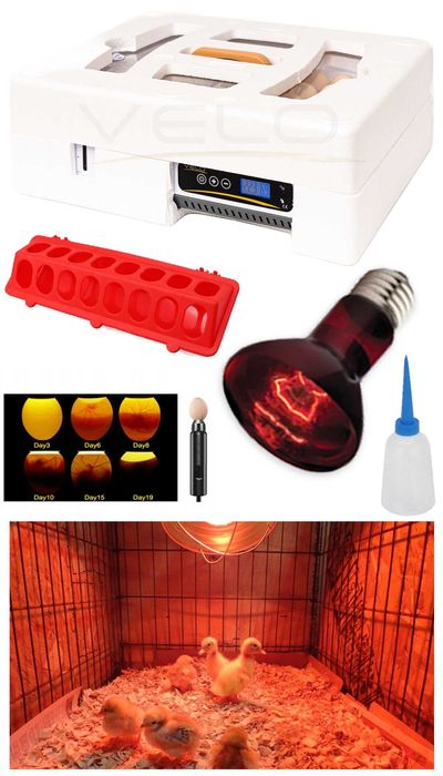 INKUBATOR AUTOMATYCZNY VELO do na 35 JAJ kaczki gęsi + mega zestaw