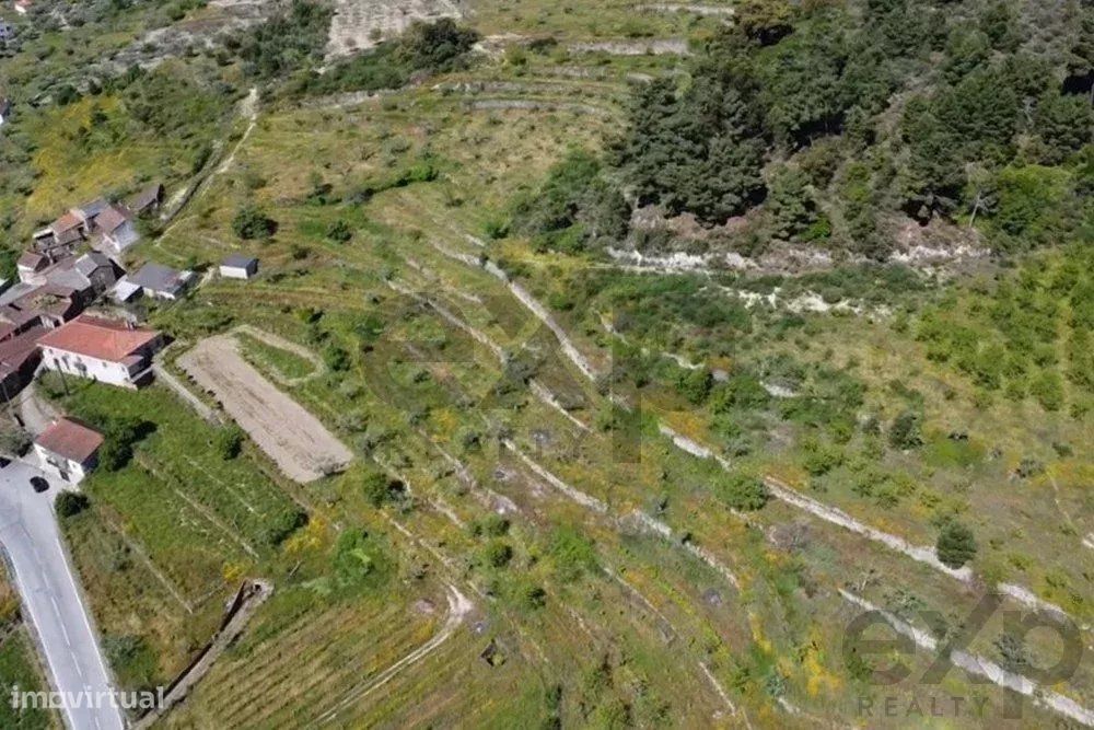 Quinta Rústica em Pegarinhos – Alijó Oportunidade única no coração do