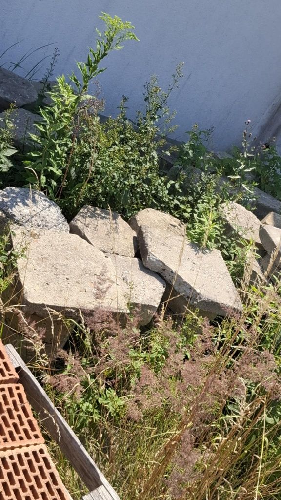 Tralinka plus krawężniki drogowe