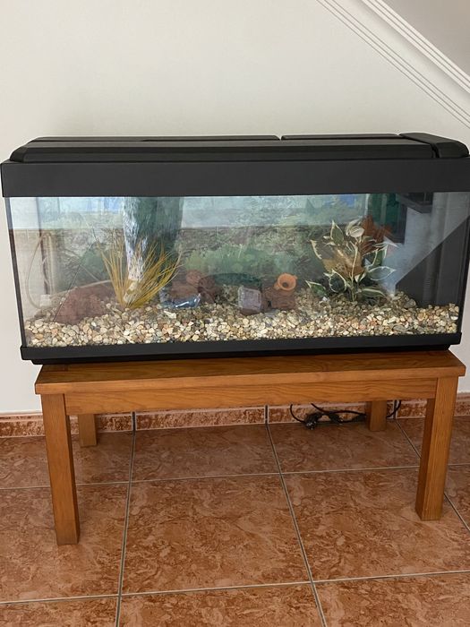 Aquário preparado para água fria 120l