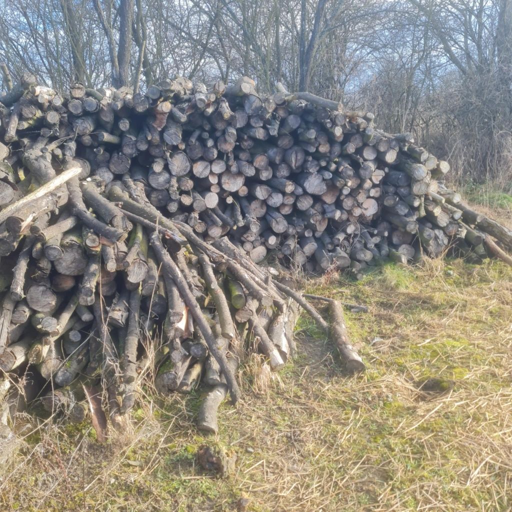 Sprzedam drzewo opałowe ,kominkowe ,Dąb, jesion,  w dobrej cenie