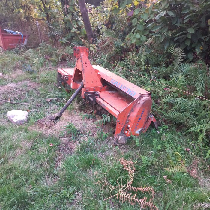 Frese Galucho descentrada