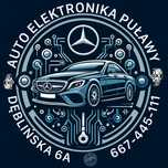 Elektronika Serwis Mercedes i inne