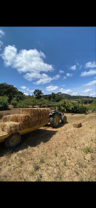Fardos de feno nascidisso