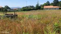 Terreno Em Vila Nova De Anha Com 2100 M2