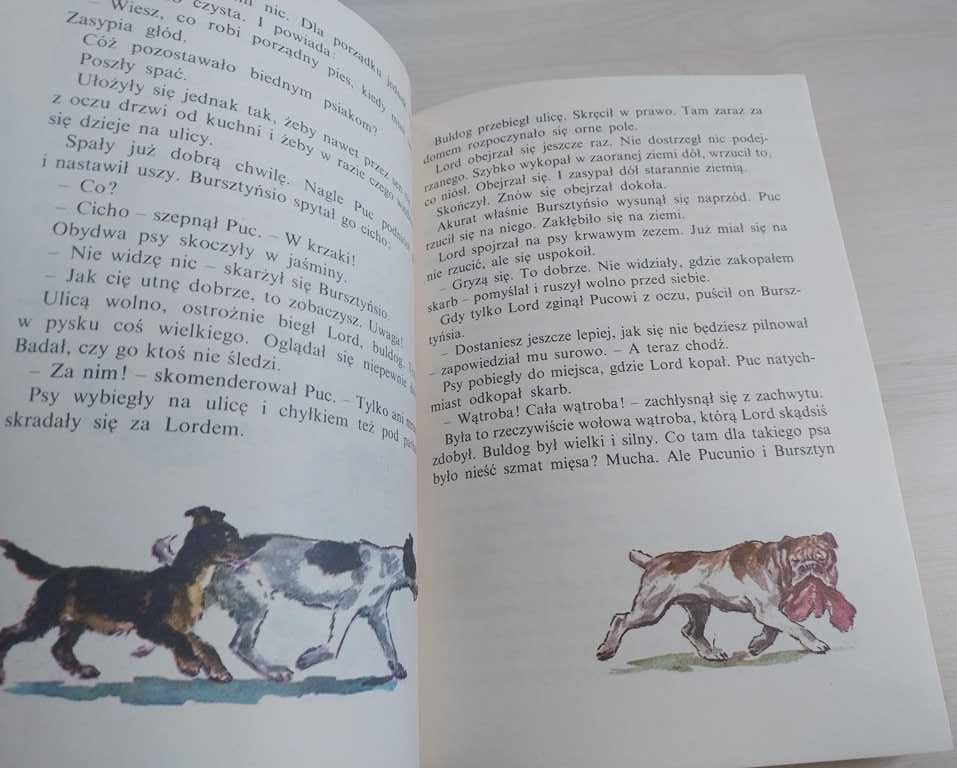 Puc Bursztyn i goście Jan Grabowski świetna książka dla dzieci