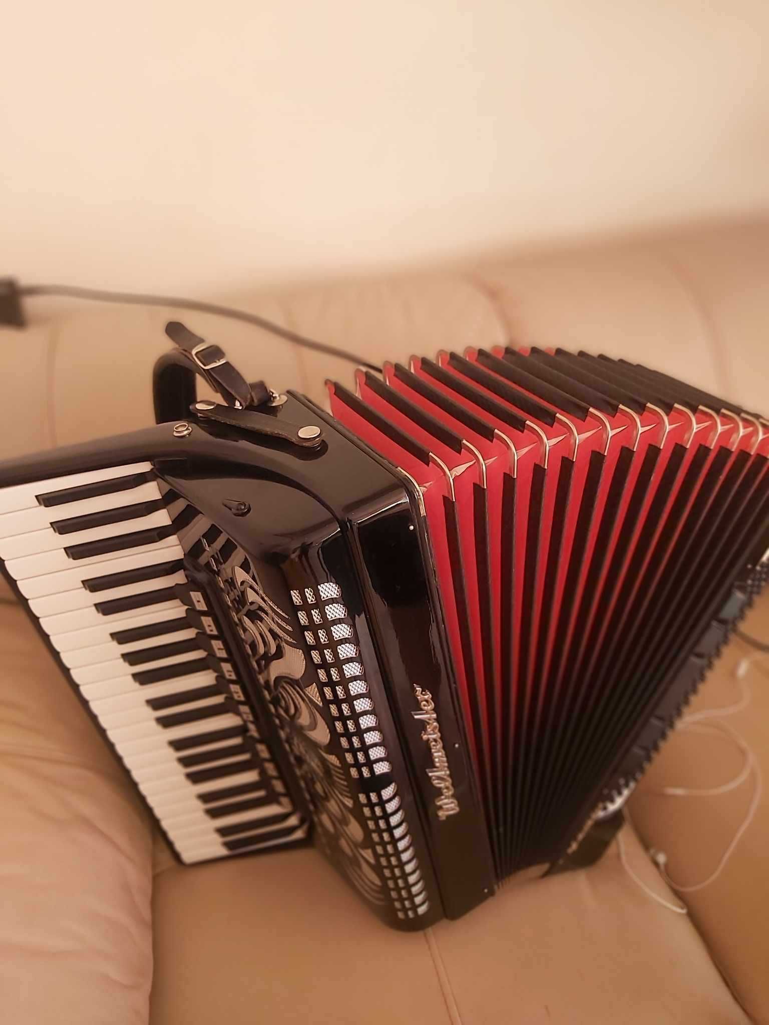 acordeon weltmeister 120 baixos