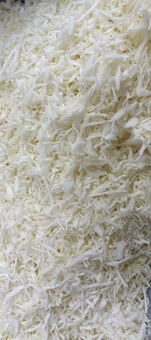 Kapusta szatkowana biała